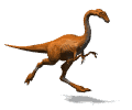 gallimimus 2.gif
